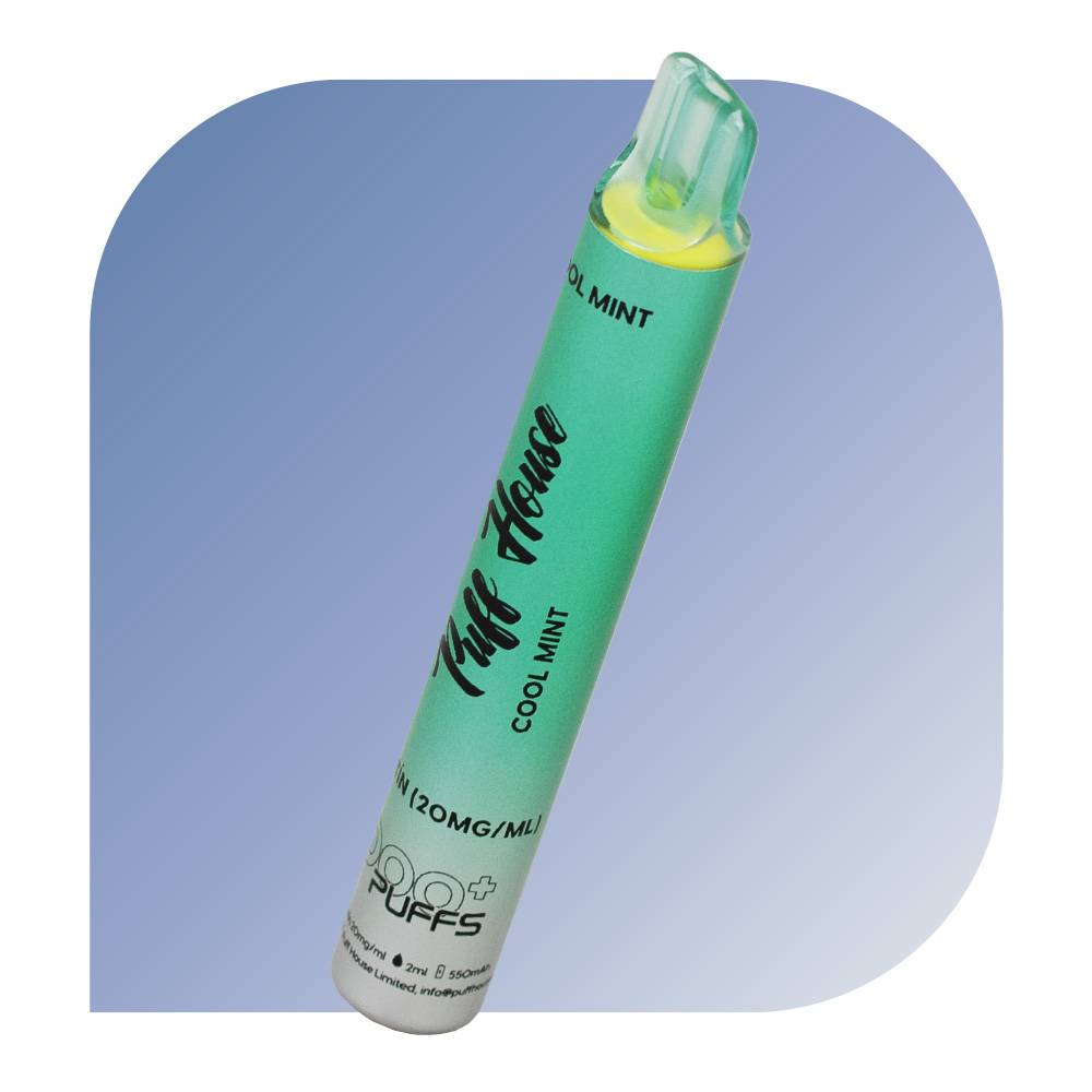  Puff House 1000 Puffs - Cool Mint (20mg/ml) - jednorazovu00e1 e-cigareta