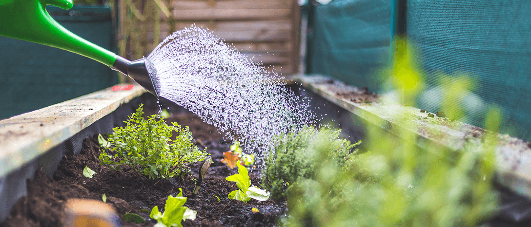 zavlažovanie vyvýšených záhonov