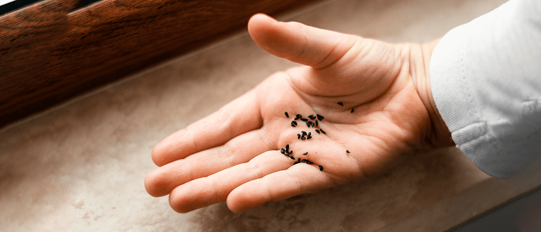 myšací trus problémy so škodcami v dome