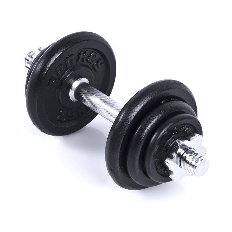 Spokey EGIR 21 Sada nakládacích činek, 2x 10,5 kg