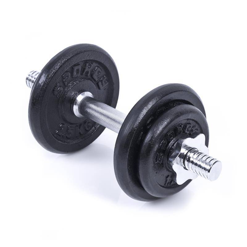 Spokey EGIR Nakládací činka 10 kg