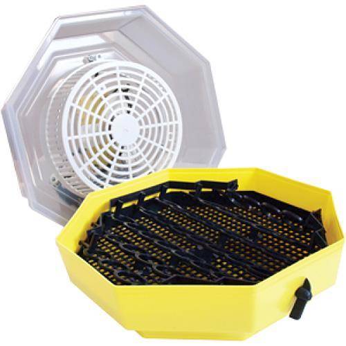 STREND Liahen CLEO 5x2 DT