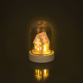 RXL 319 kopula mikro domcek 1LED RETLUX