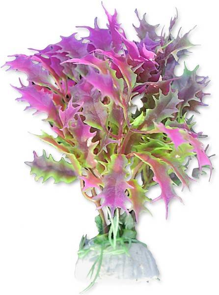 Happet Plastová rastlina 10cm 1B12