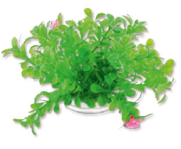 Happet Velká plastová rastlina 10cm 1F18