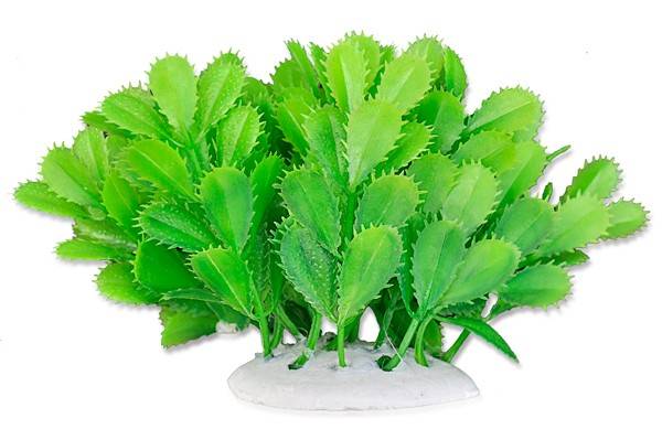 Happet Veľká plastová rastlina 10cm 1F10