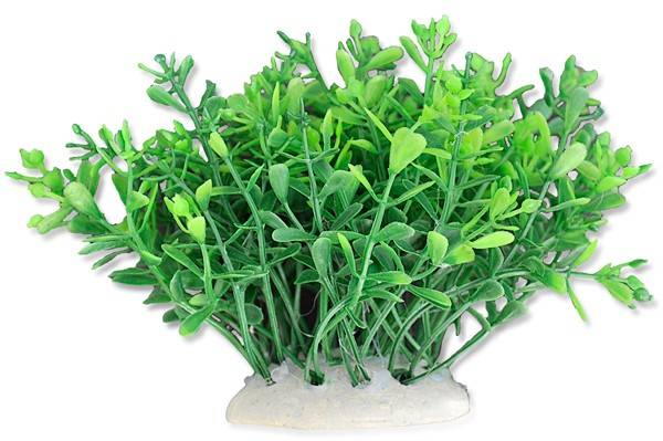 Happet Veľká plastová rastlina 10cm 1F07