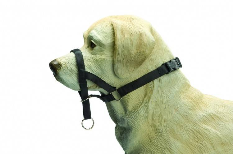 Beeztees DOG CONTROL 2 