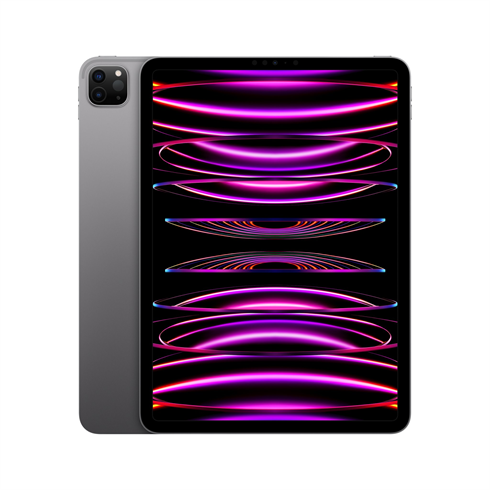iPad Pro 11" Wi-Fi 128GB Space Gray (2022)