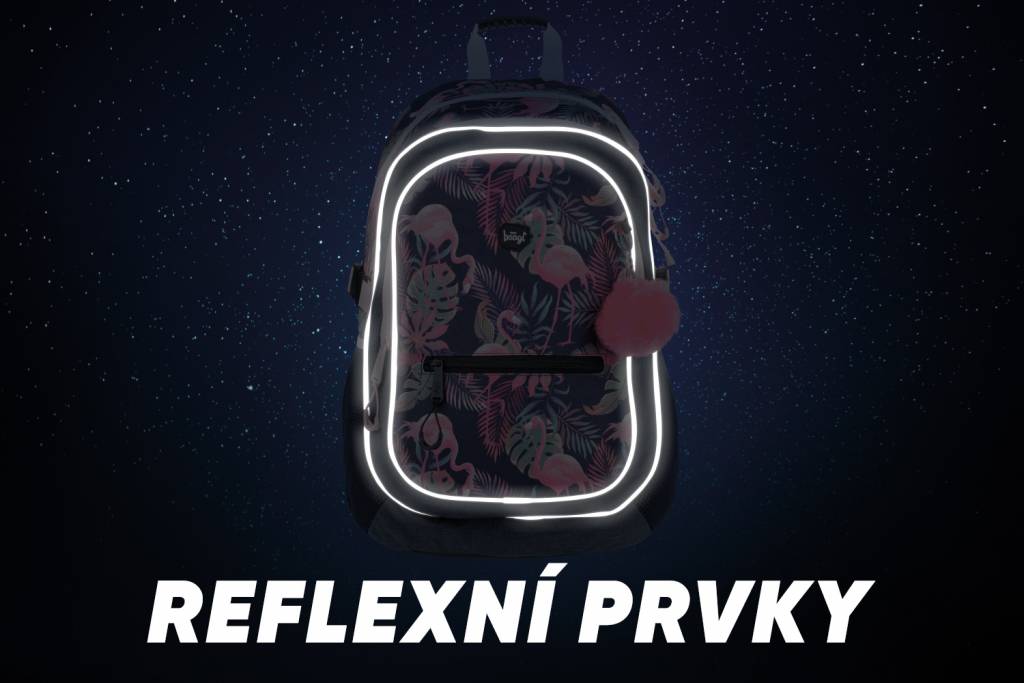 BAAGL Školský batoh Plameniaky.