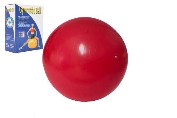 Gymnastická lopta 55cm rehabilitačná relaxačná v krabici 16x22cm