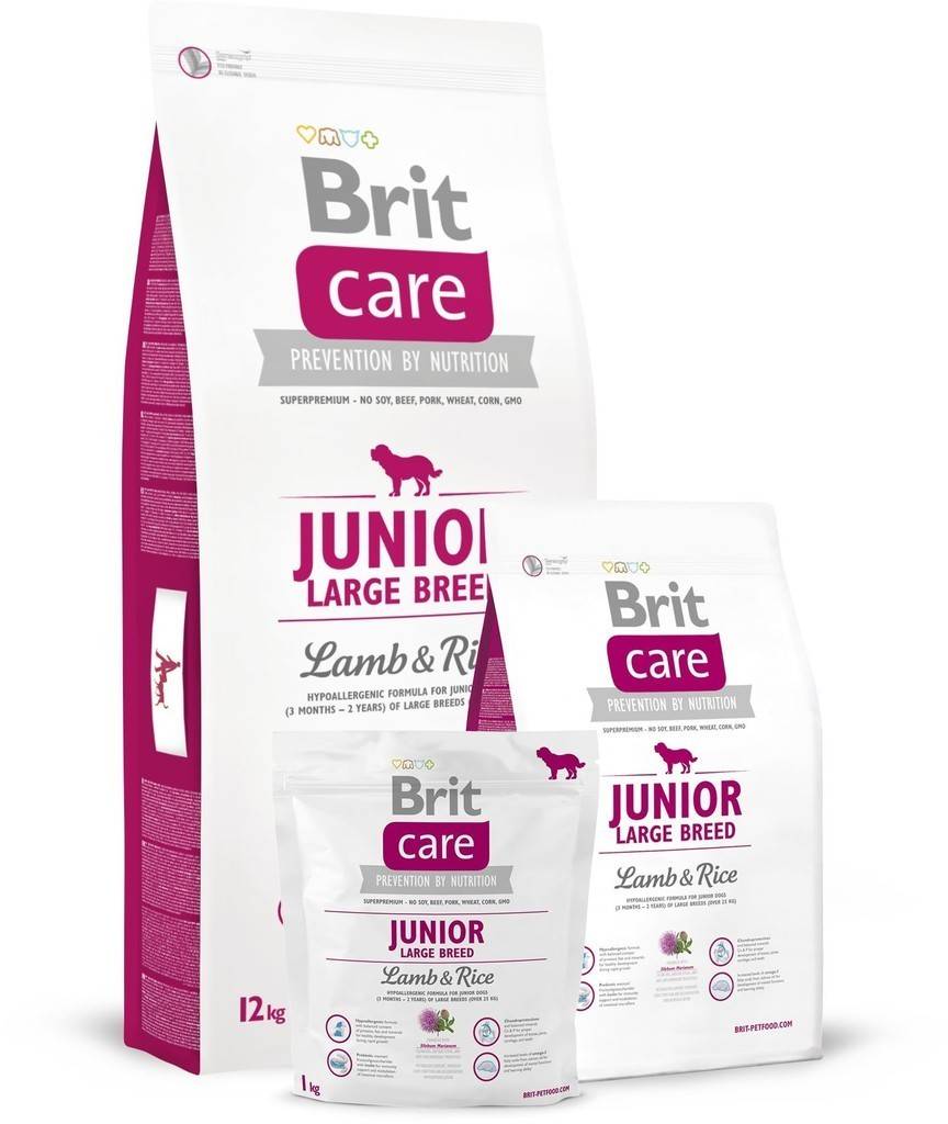 BRIT Care Brit Care Junior Large Lamb & Rice 12kg (cyklamenová)
