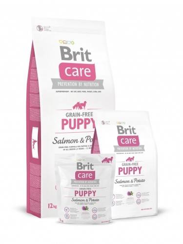 BRIT Care Brit Care GF Puppy Salmon & Potato 12 kg