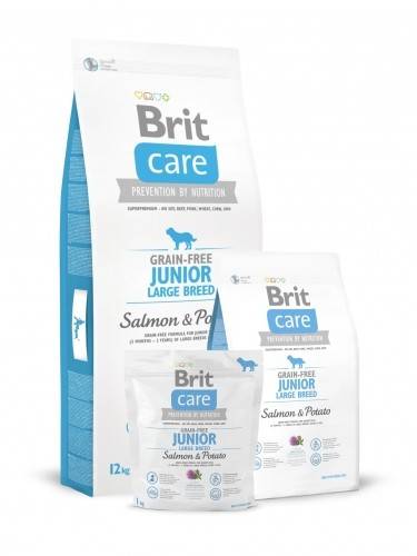 BRIT Care Brit Care GF Junior Large Salm/Potat 12