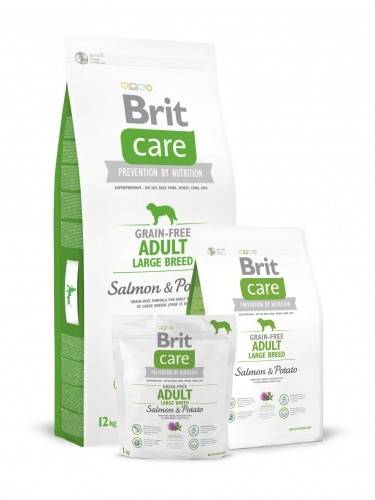 BRIT Care Brit Care GF Adult Large Salm/Potato 12