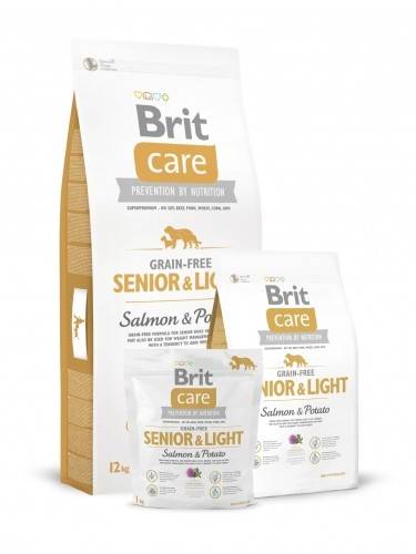 BRIT Care Brit Care GF Sen/Light Salmon & Potato 1