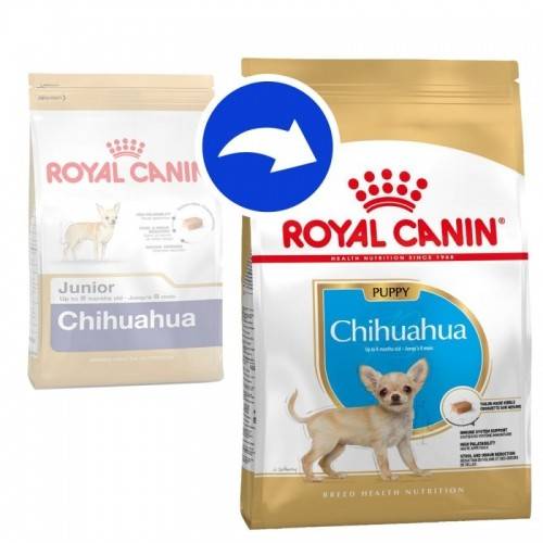 Royal Canin BHN CHIHUAHUA PUPPY 500 g