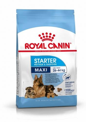 Royal Canin SHN MAXI STARTER M&B 4 kg