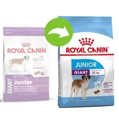 Royal Canin SHN GIANT JUNIOR 15 kg