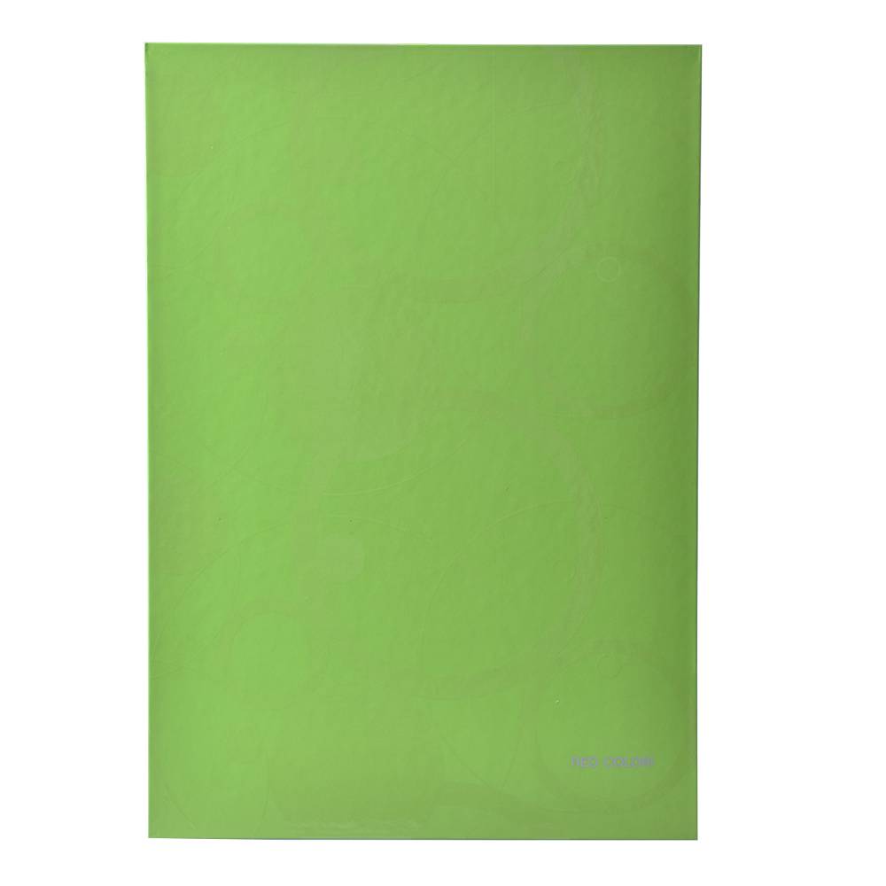 Podpisová kniha harmoniková zelená Neo Colori