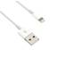 Kábel C-TECH USB 2.0 Nabíjací a synchronizačný kábel Lightning (IP5 a vyšší), 2 m, biely