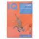 Kancelársky papier farebný A4 80g OR43 Intensive Orange IQ